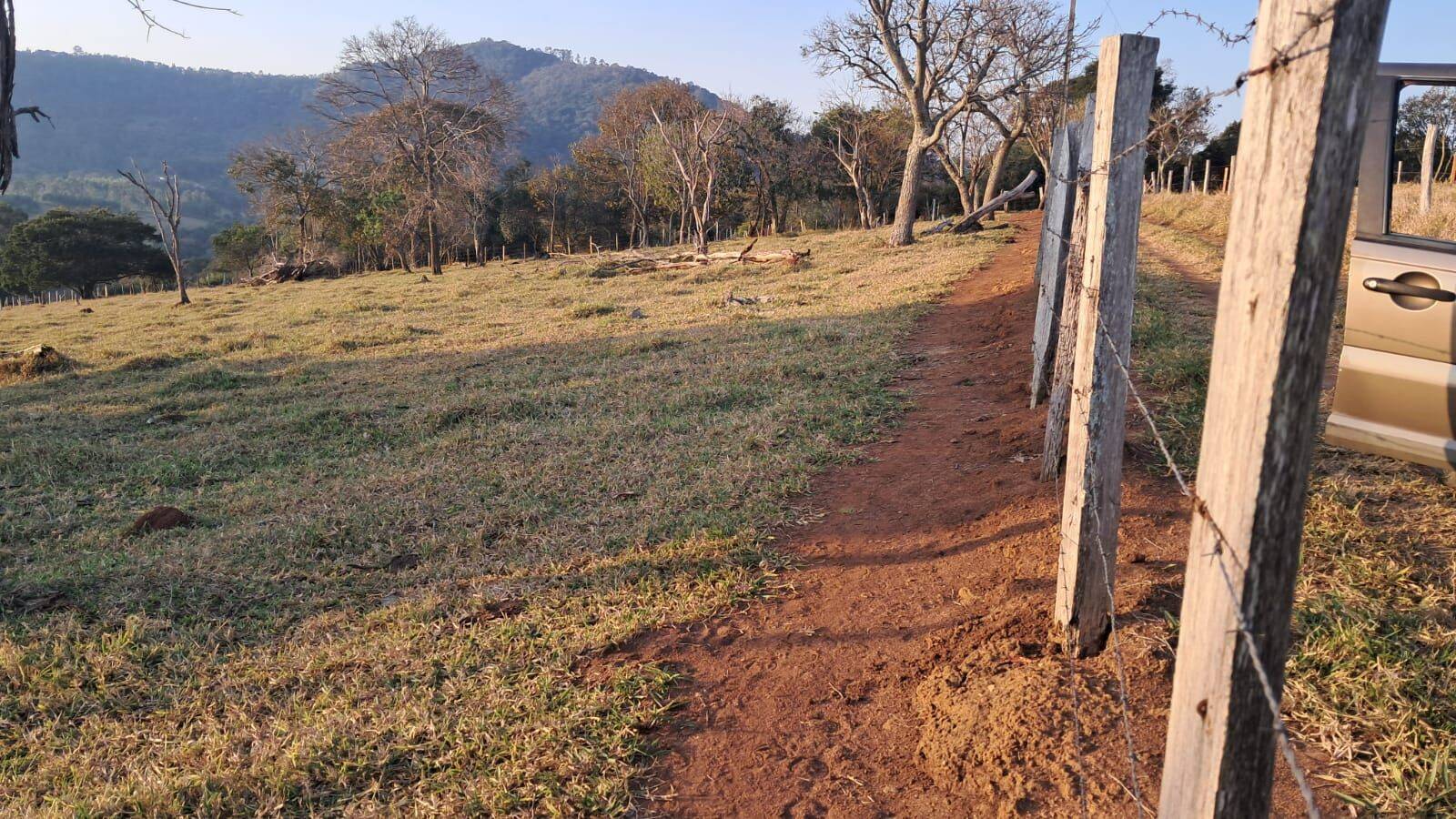 Sítio, 4 quartos, 6 hectares - Foto 13