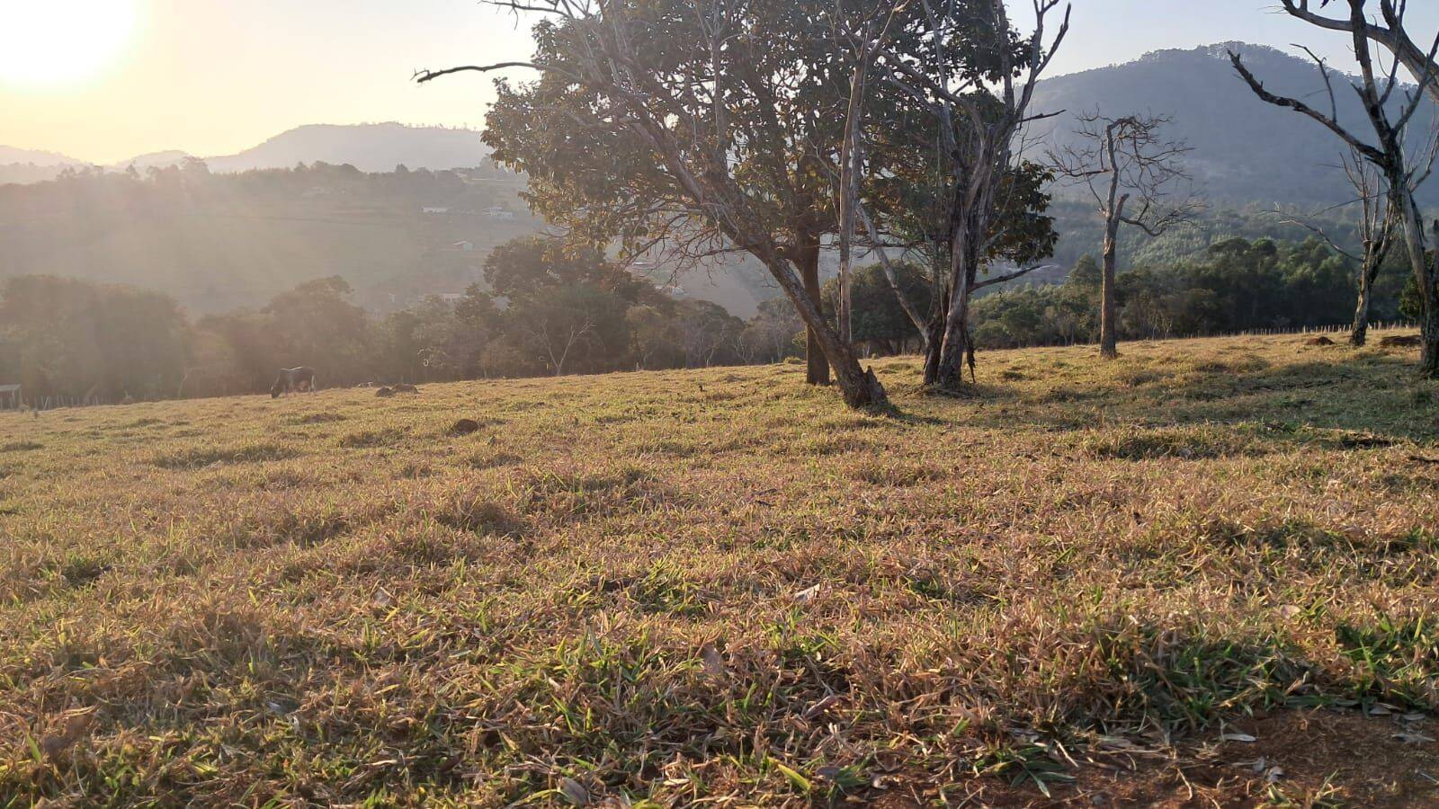 Sítio, 4 quartos, 6 hectares - Foto 14