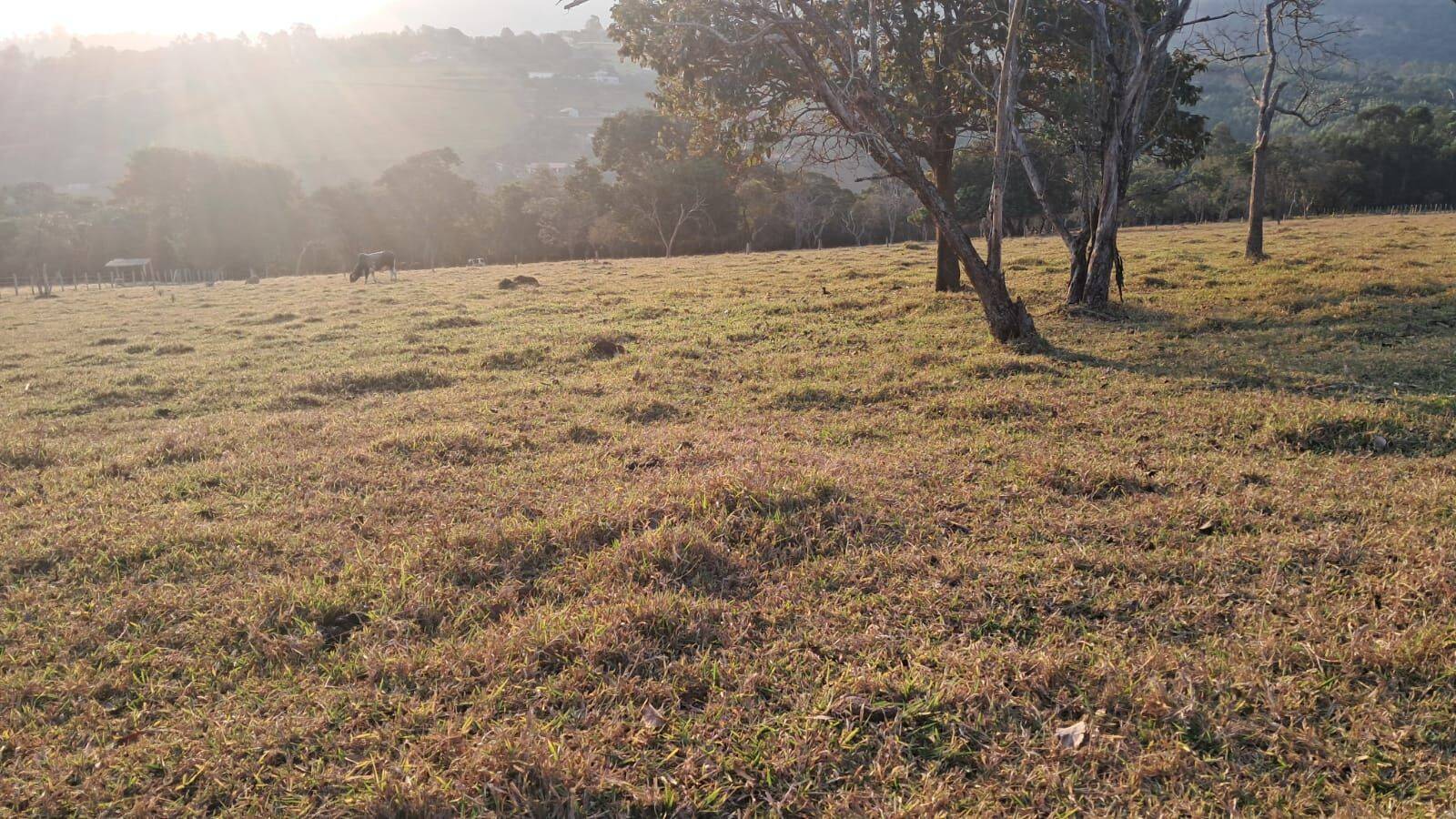 Sítio, 4 quartos, 6 hectares - Foto 15