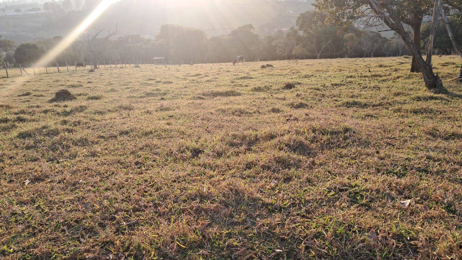 Sítio, 4 quartos, 6 hectares - Foto 16