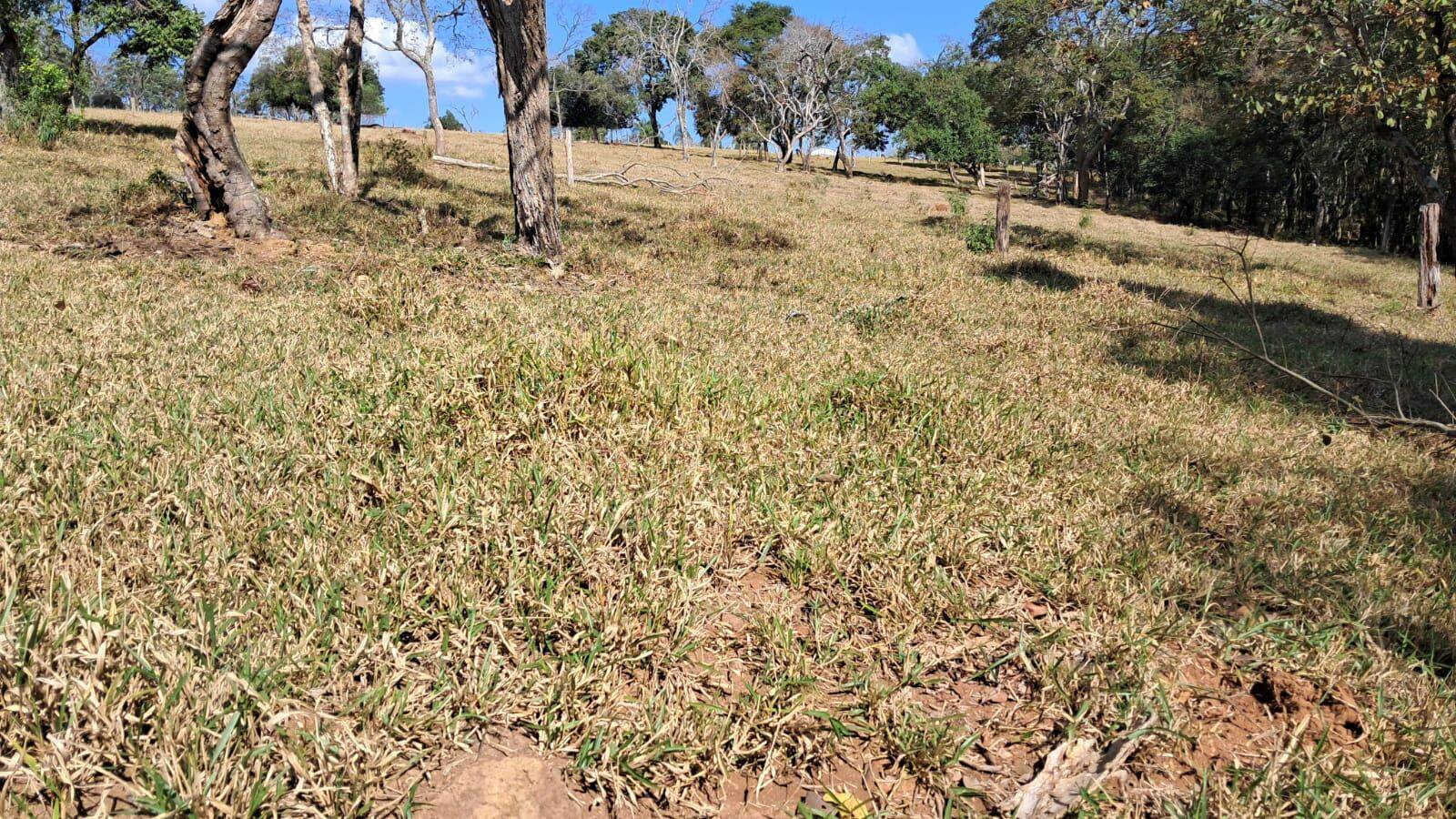 Sítio, 4 quartos, 6 hectares - Foto 17