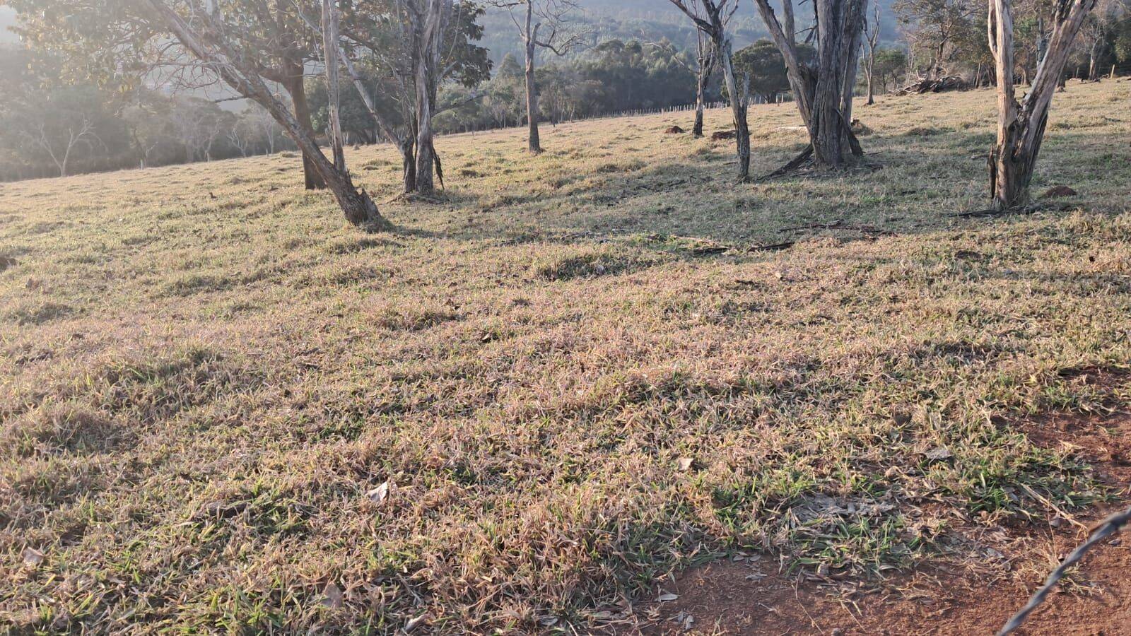 Sítio, 4 quartos, 6 hectares - Foto 18