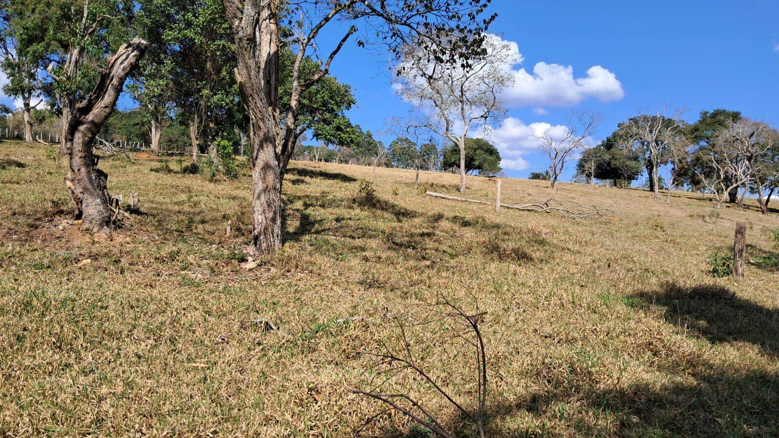 Sítio, 4 quartos, 6 hectares - Foto 20