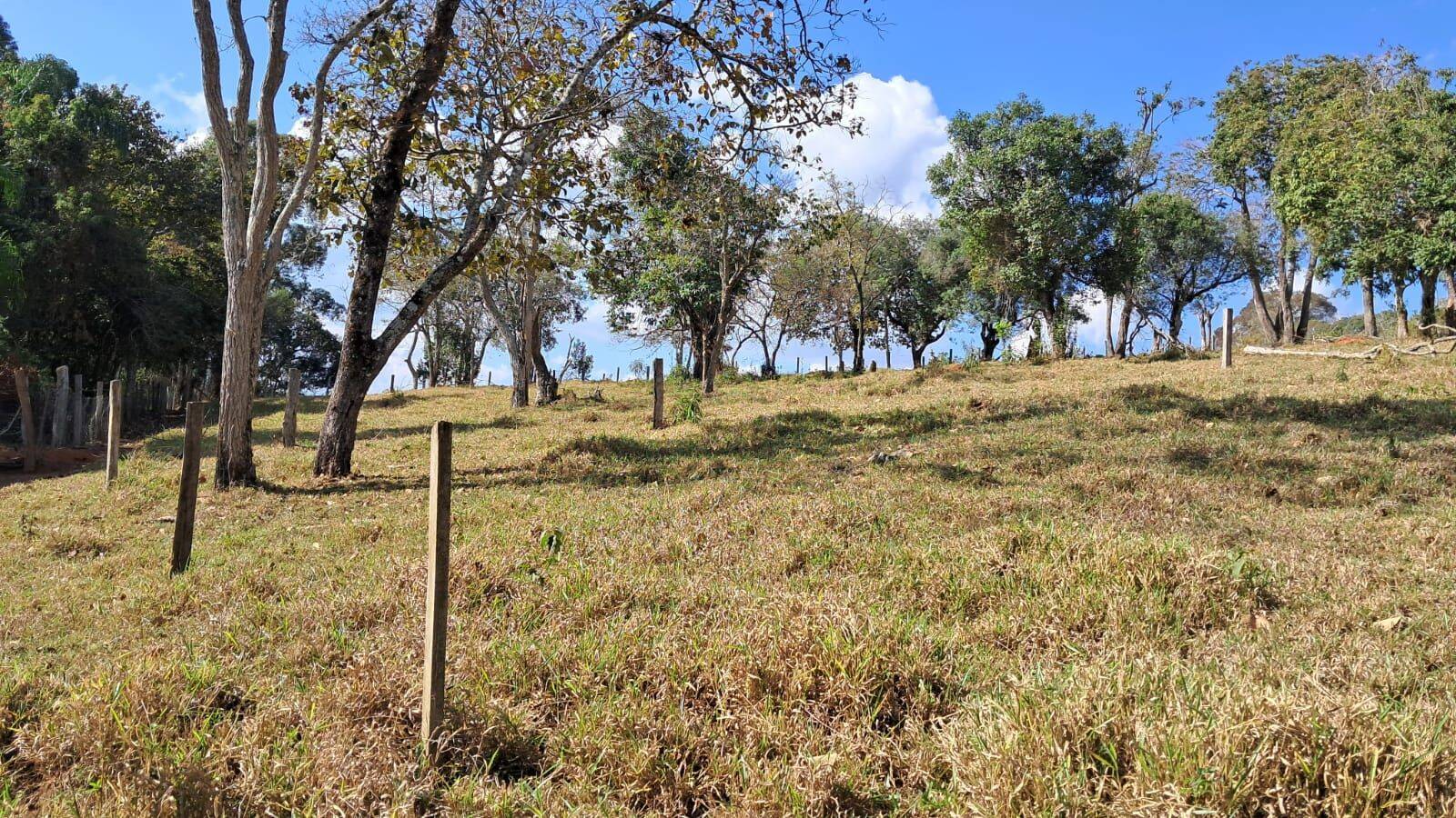Sítio, 4 quartos, 6 hectares - Foto 23