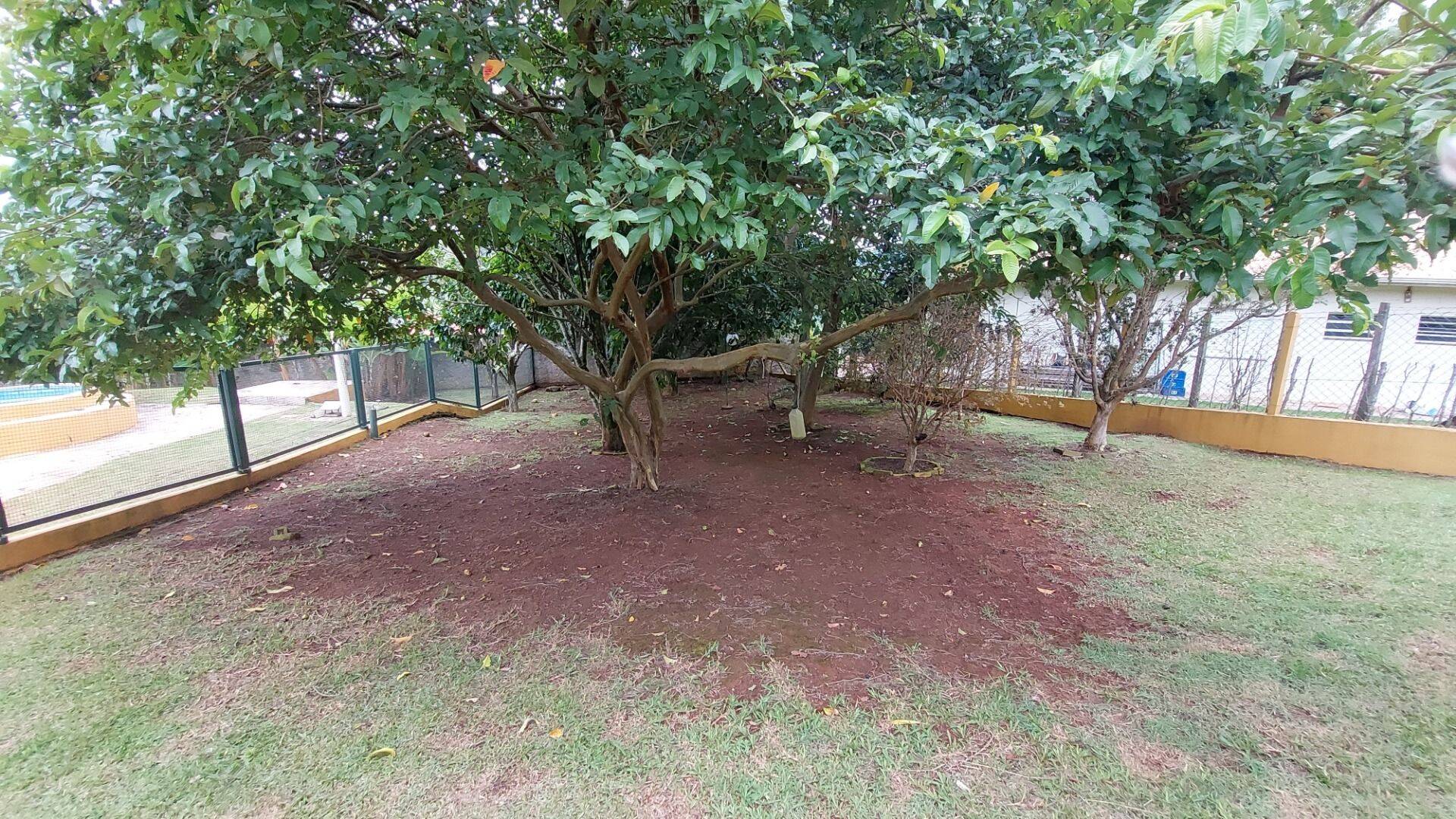 Chácara, 3 quartos, 1850 m² - Foto 32