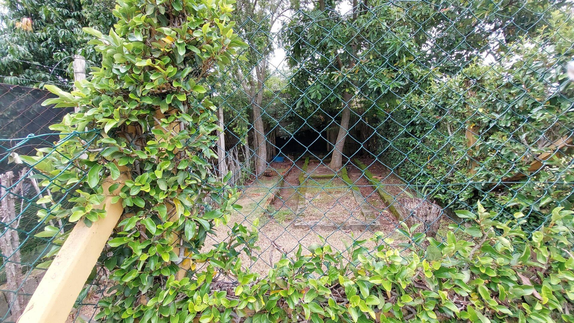 Chácara, 3 quartos, 1850 m² - Foto 37