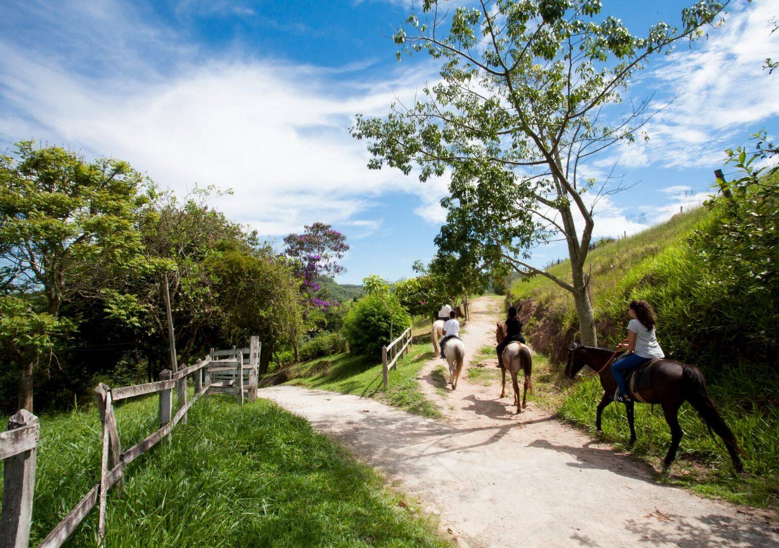 Prédio Inteiro, 4061 m² - Foto 28