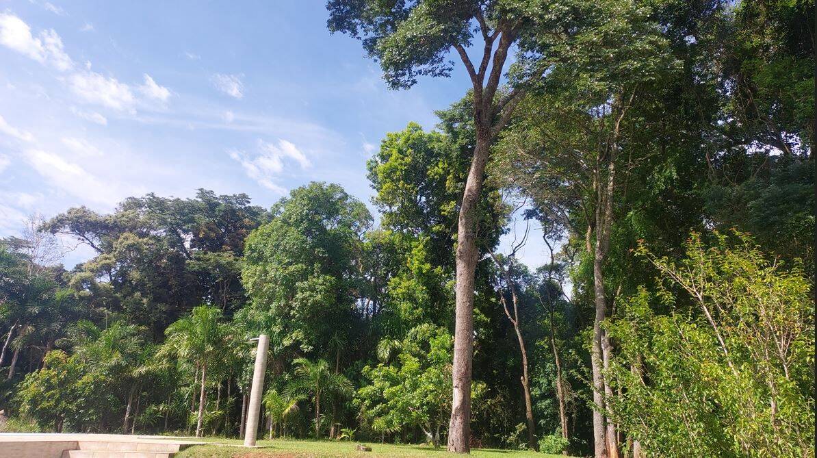 Chácara, 2 quartos, 4000 m² - Foto 12