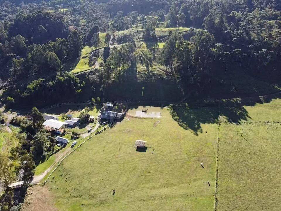 Terreno, 20 hectares - Foto 3