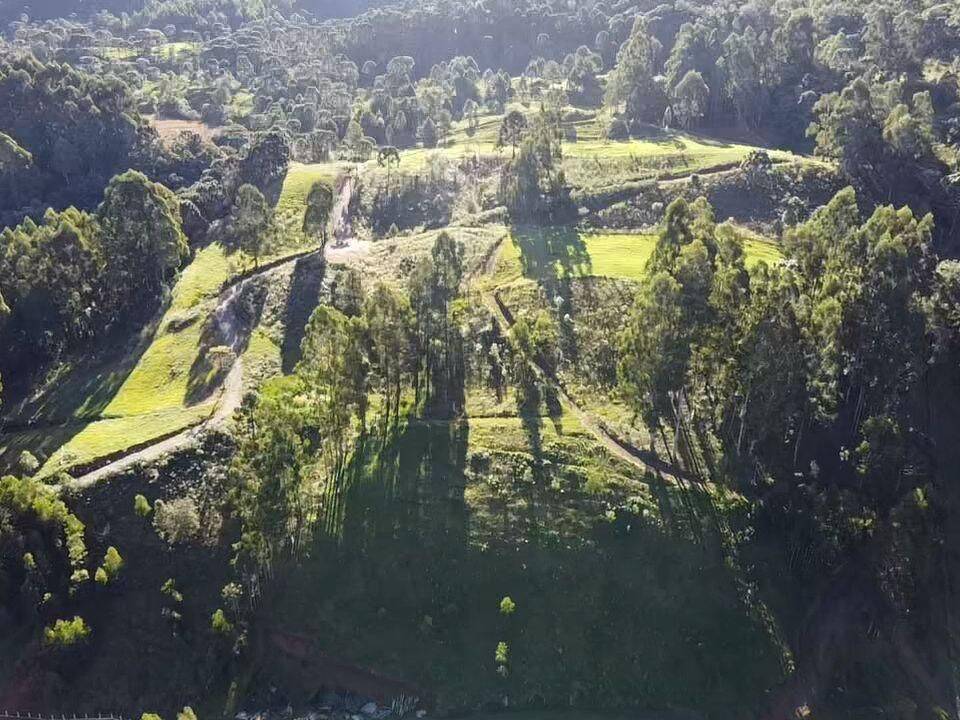 Terreno, 20 hectares - Foto 5