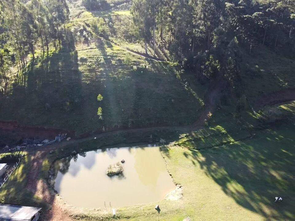 Terreno, 20 hectares - Foto 6