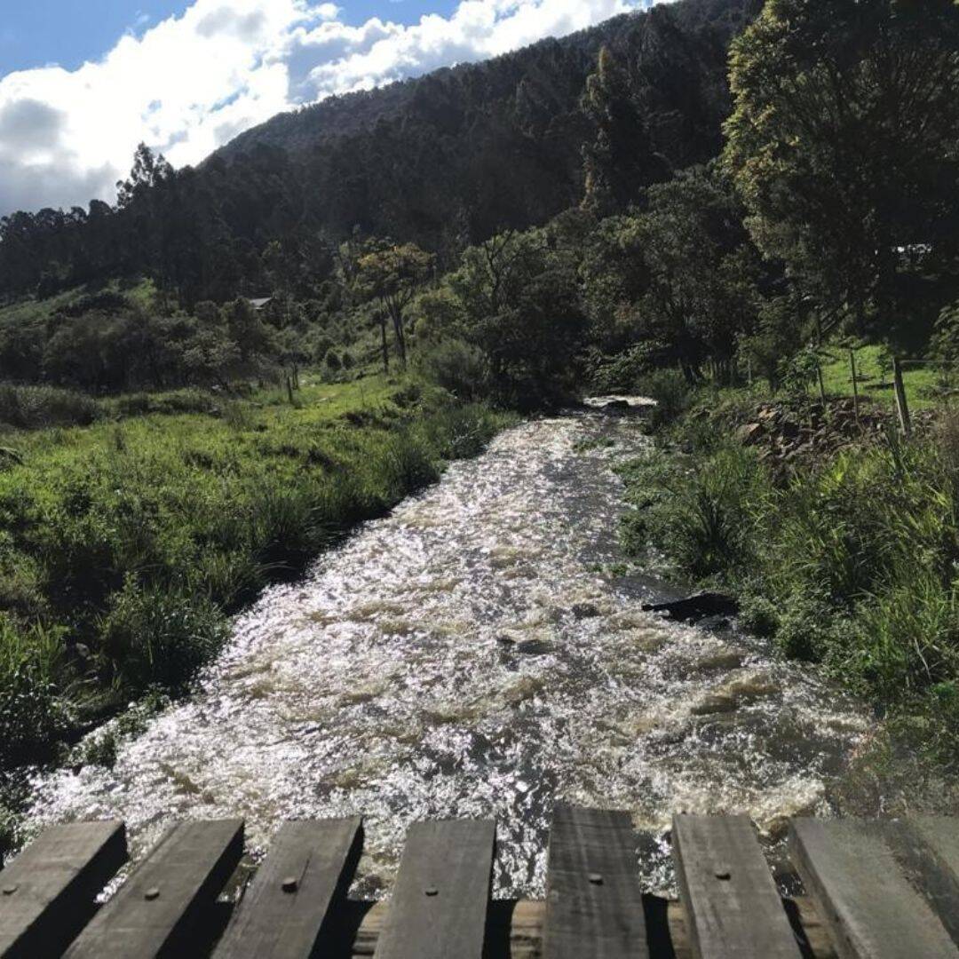 Terreno, 20 hectares - Foto 13