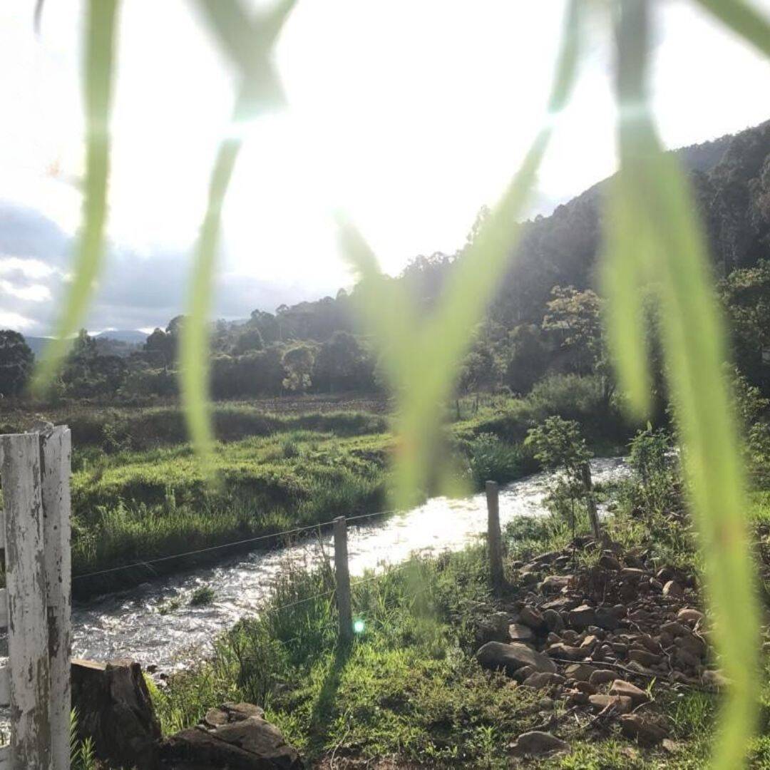 Terreno, 20 hectares - Foto 14