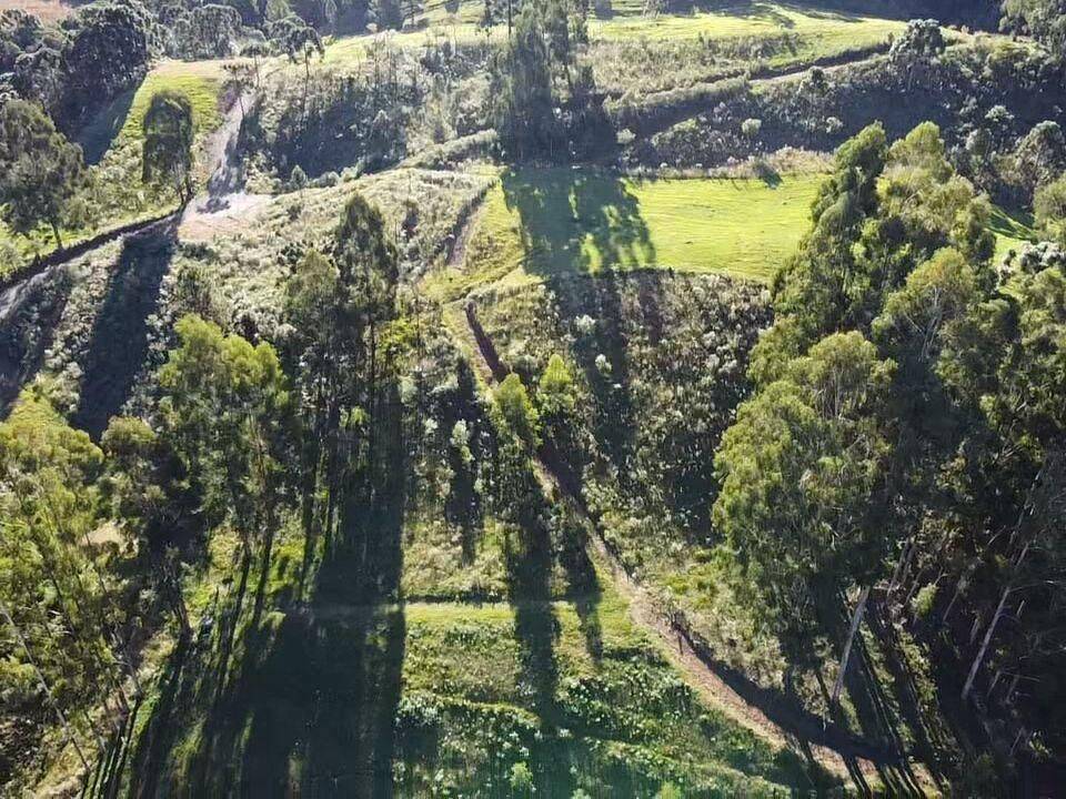 Terreno, 20 hectares - Foto 15