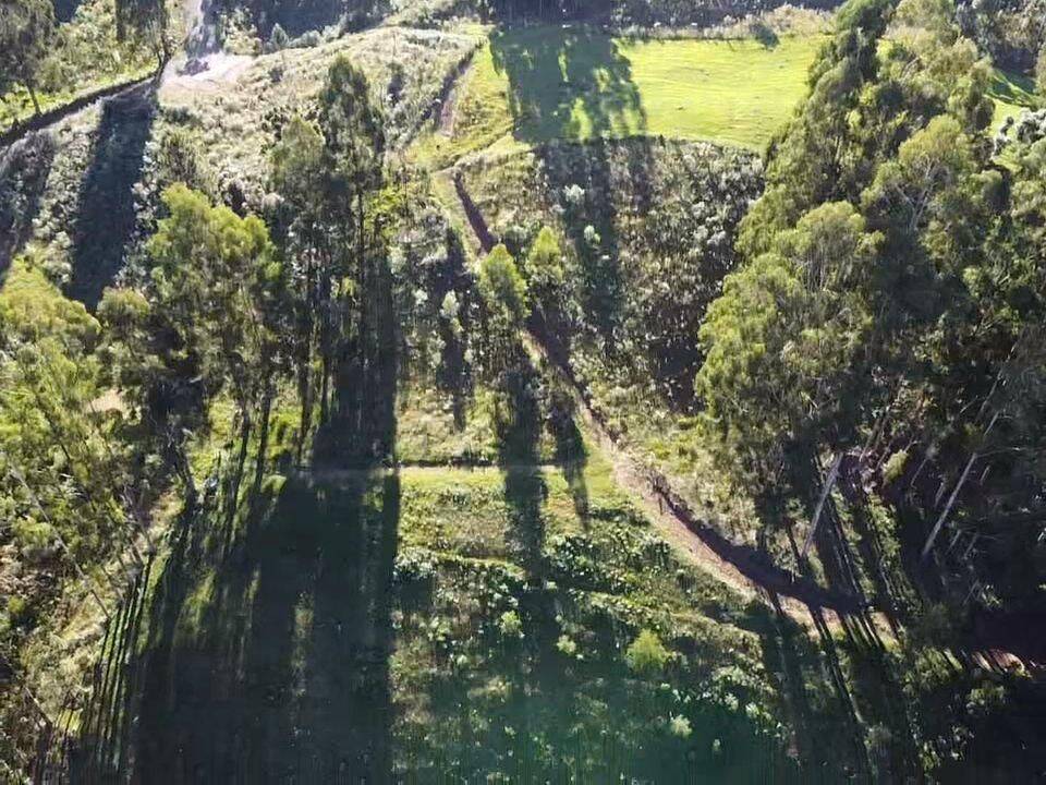 Terreno, 20 hectares - Foto 16