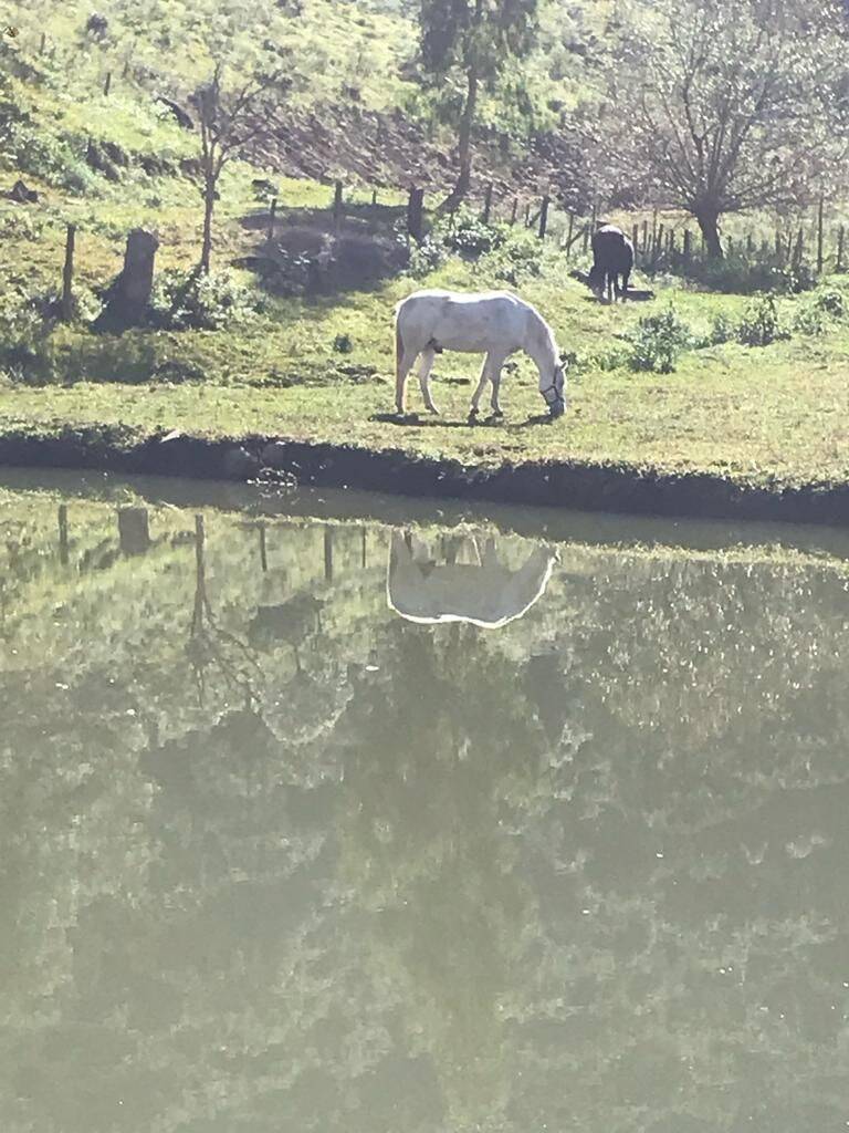 Terreno, 20 hectares - Foto 17