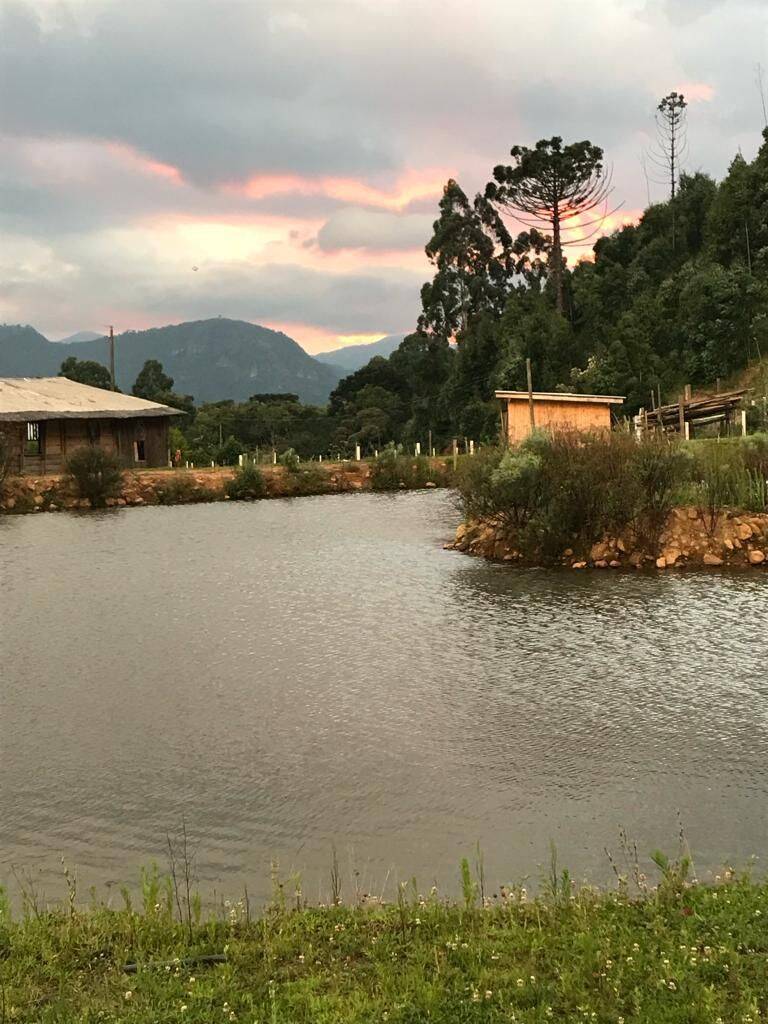 Terreno, 20 hectares - Foto 18