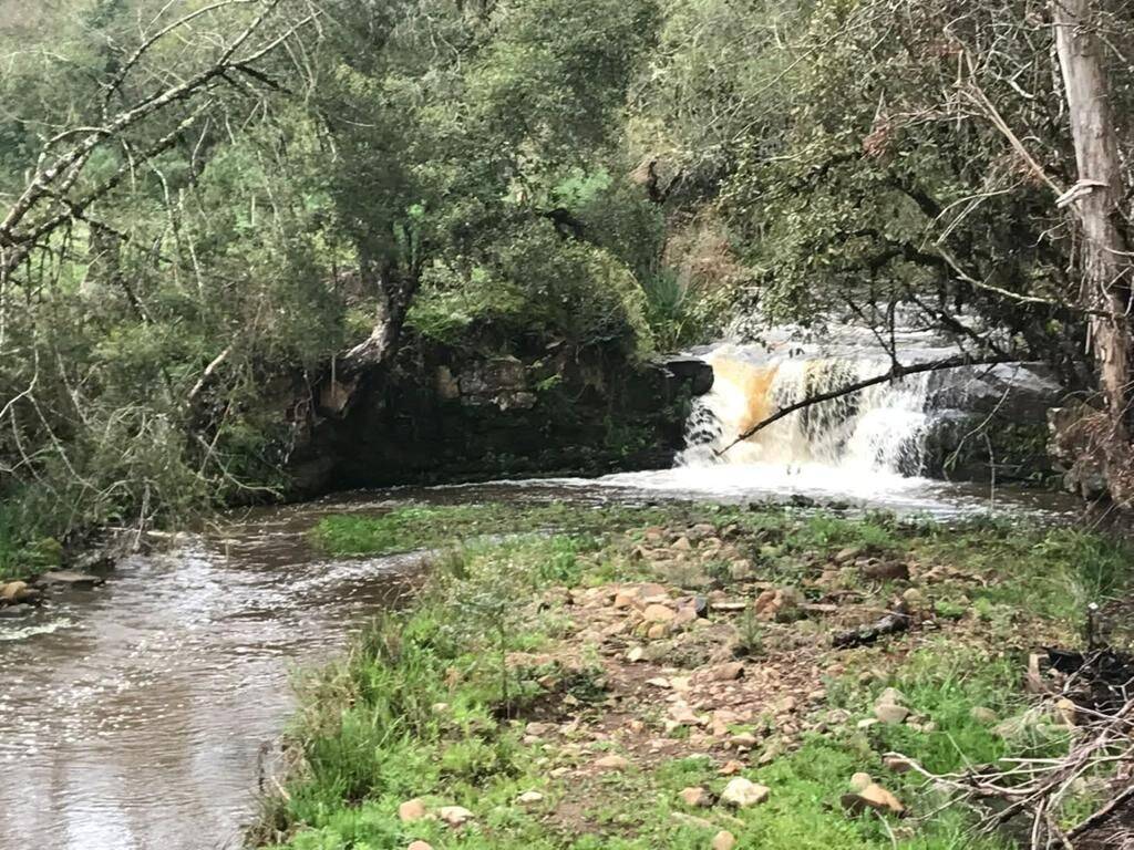 Terreno, 20 hectares - Foto 19