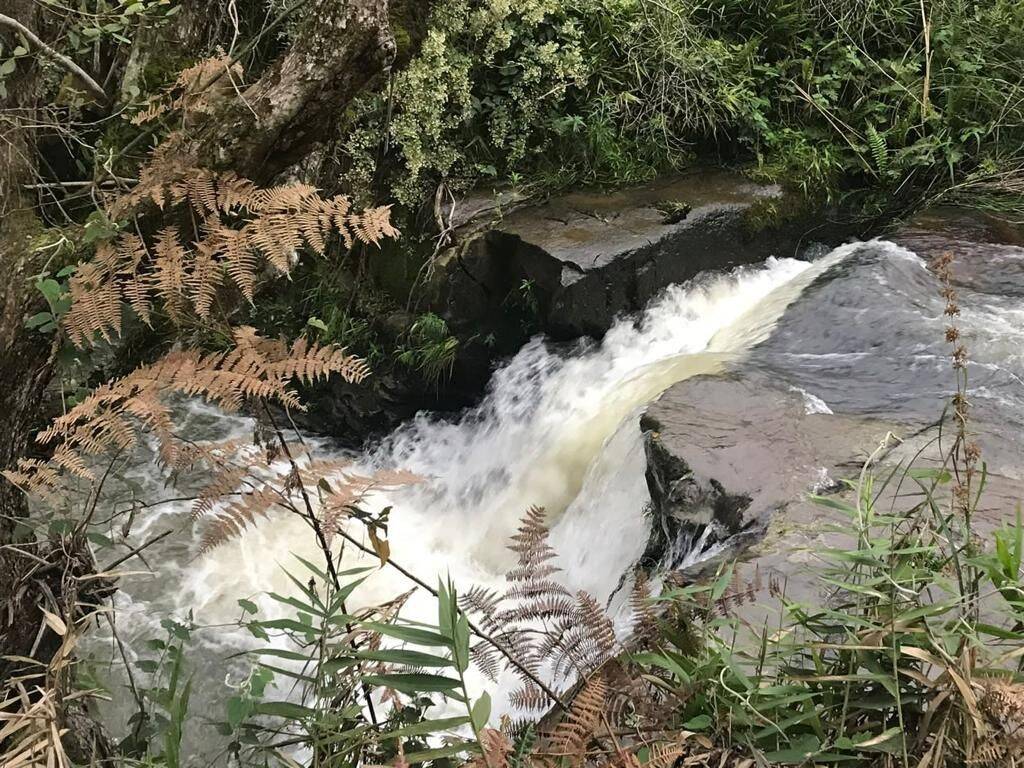 Terreno, 20 hectares - Foto 20