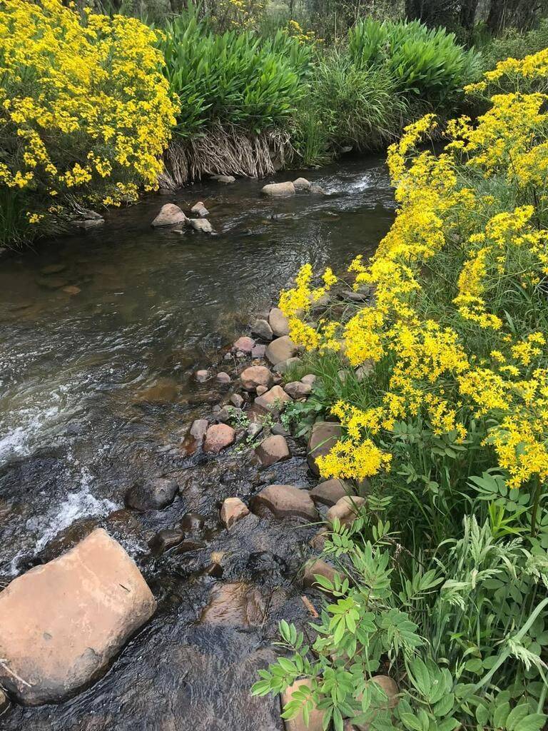 Terreno, 20 hectares - Foto 23