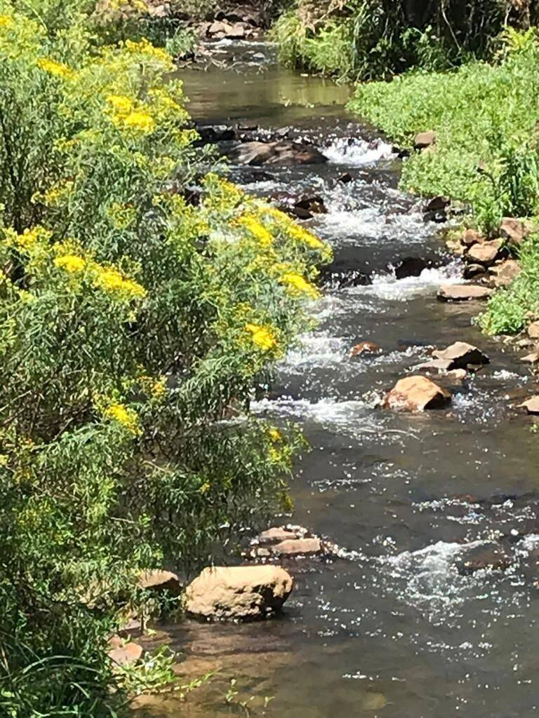 Terreno, 20 hectares - Foto 27