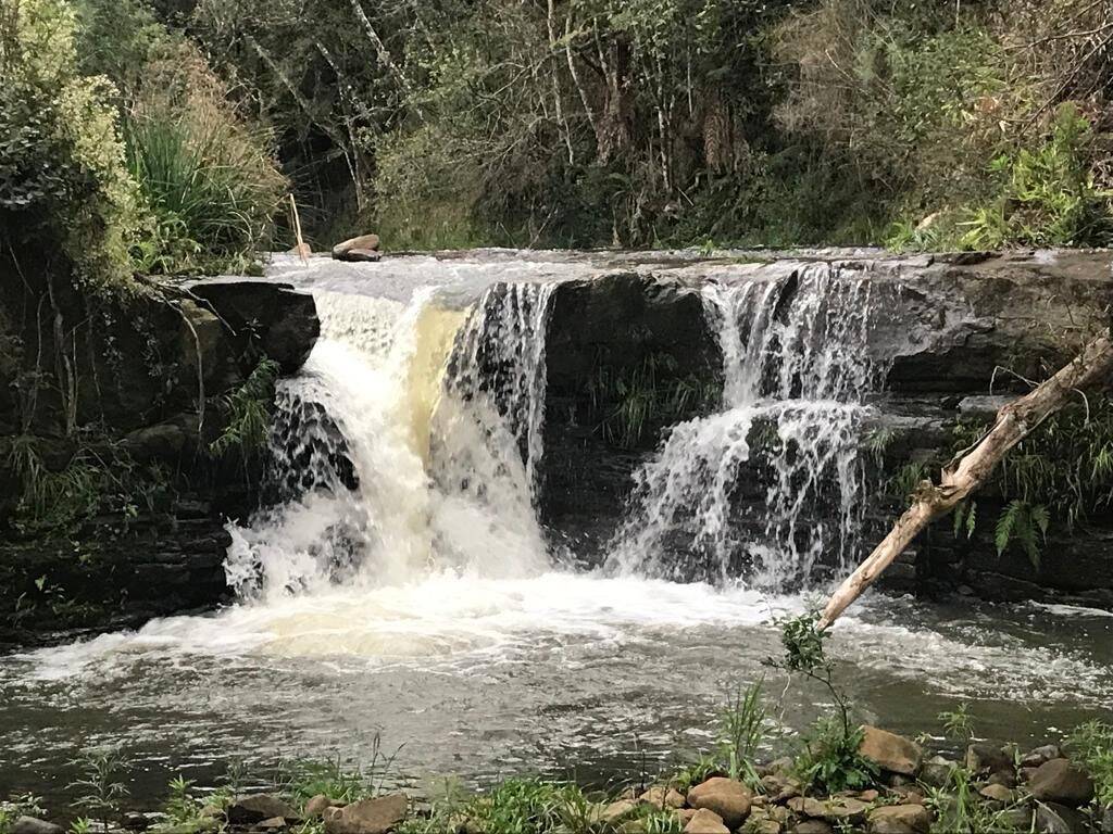 Terreno, 20 hectares - Foto 28