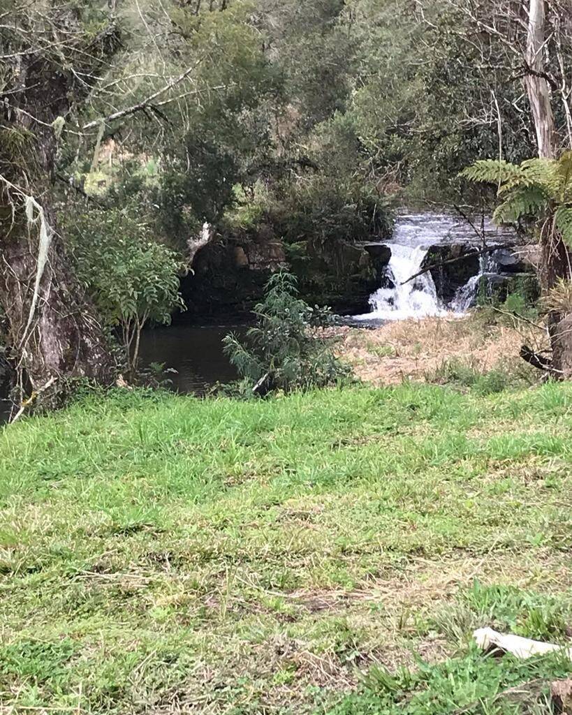 Terreno, 20 hectares - Foto 30