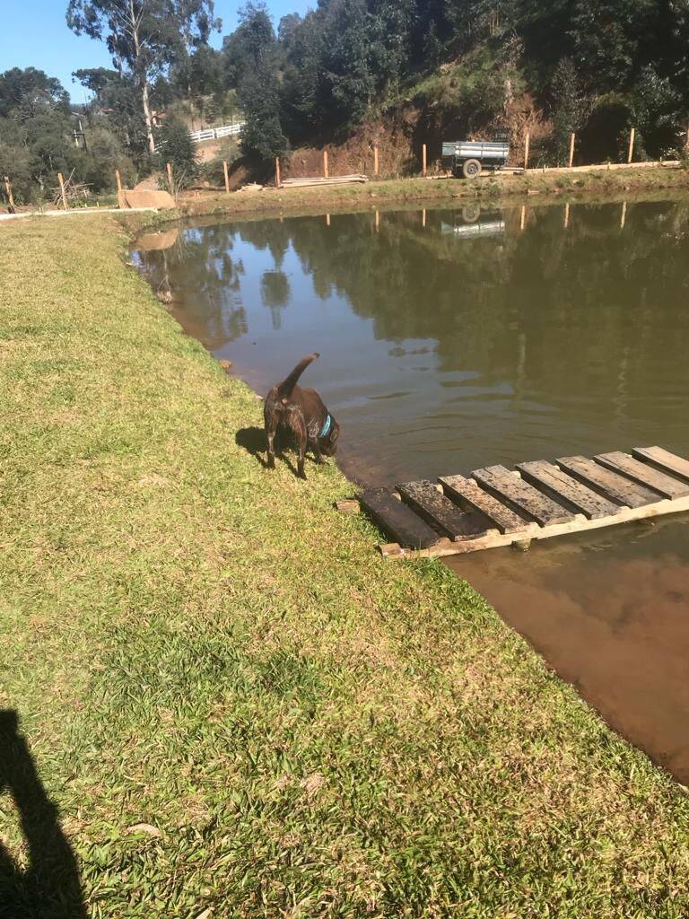 Terreno, 20 hectares - Foto 31