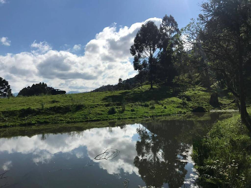 Terreno, 20 hectares - Foto 34