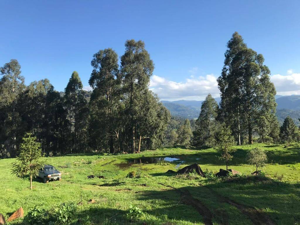 Terreno, 20 hectares - Foto 35