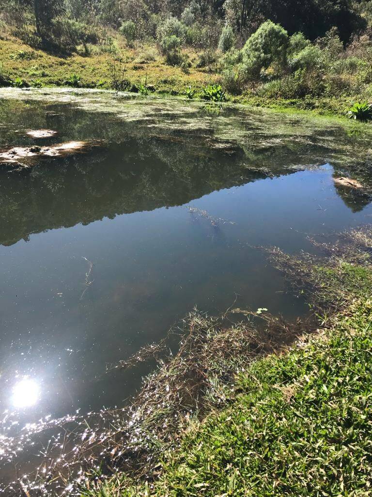 Terreno, 20 hectares - Foto 36