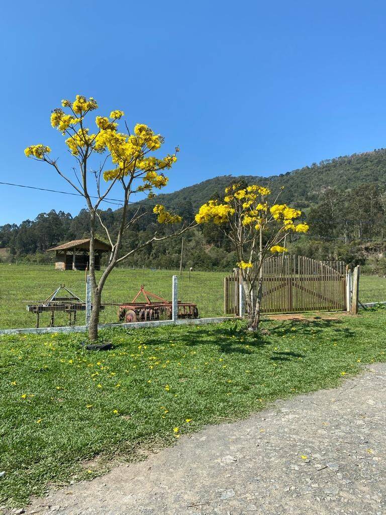 Terreno, 20 hectares - Foto 42