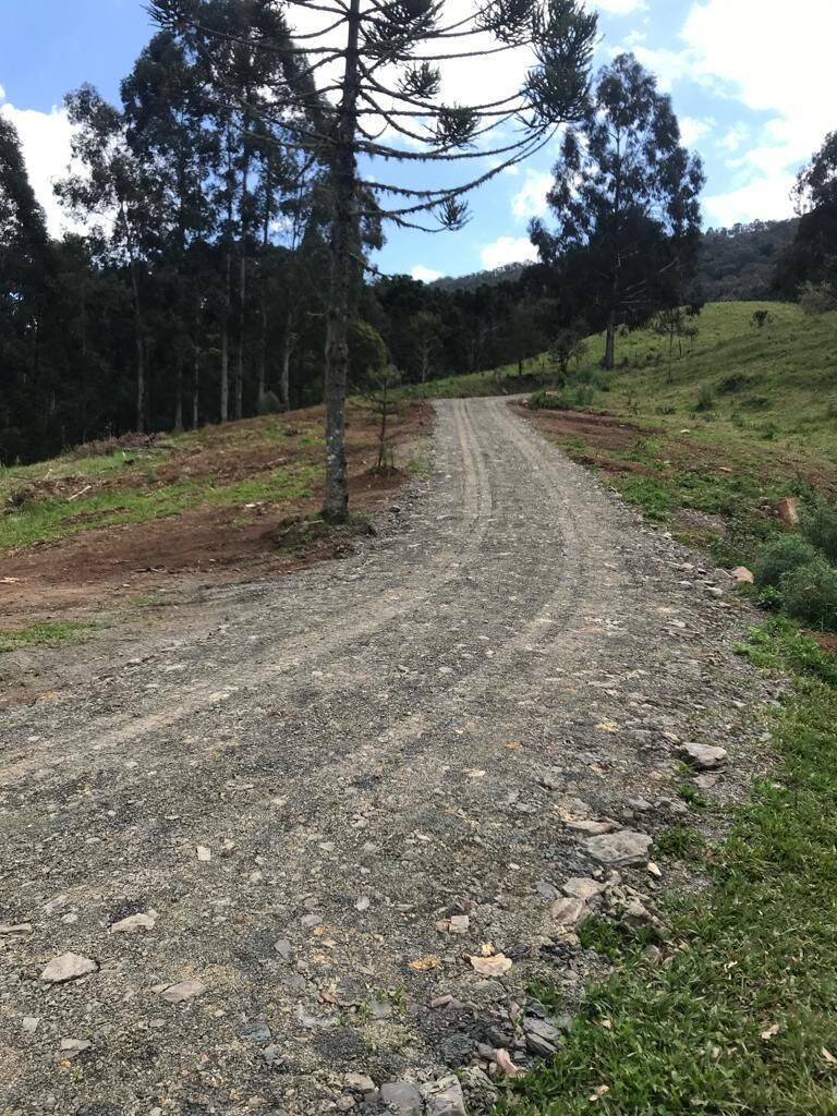 Terreno, 20 hectares - Foto 47