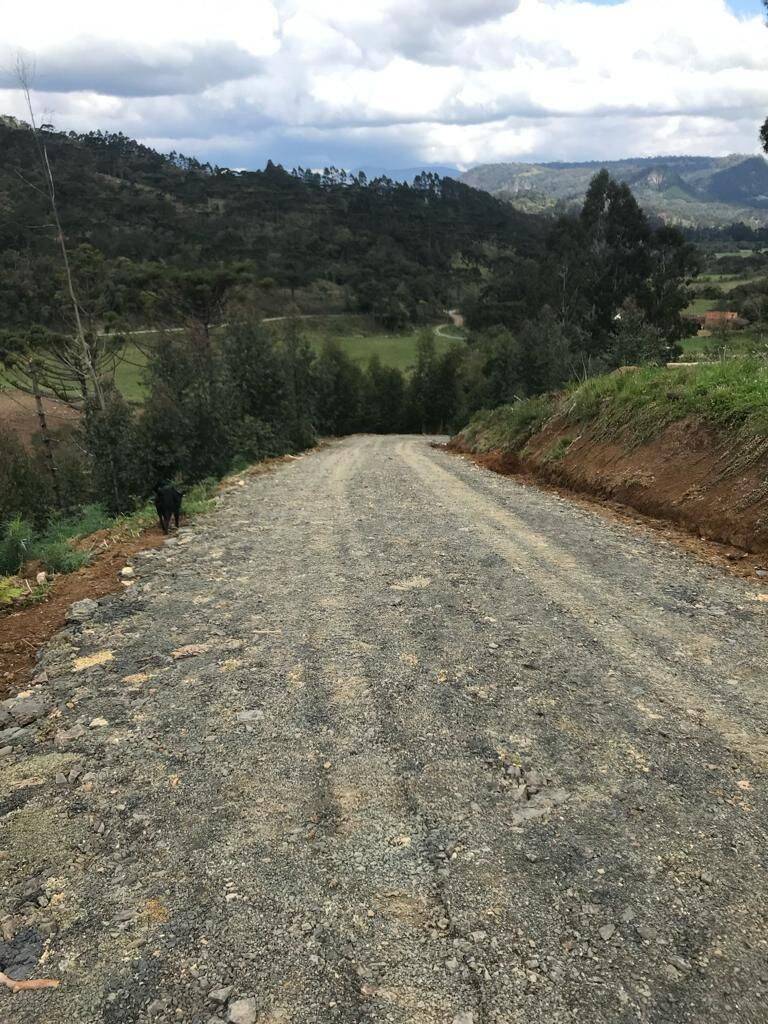 Terreno, 20 hectares - Foto 49