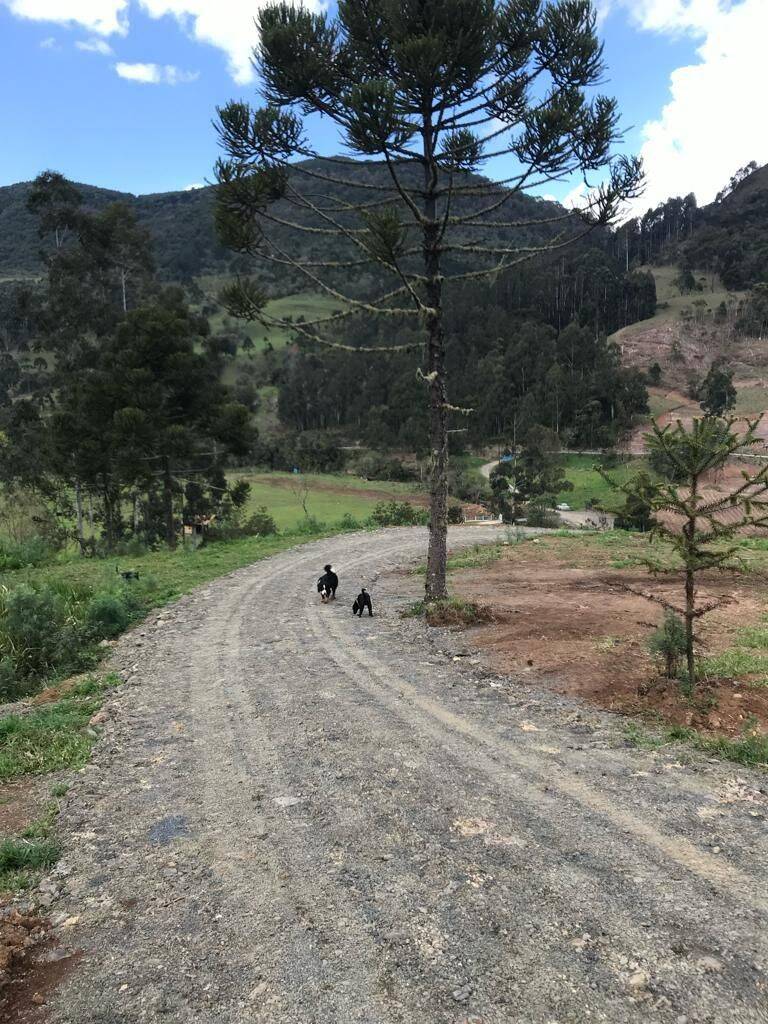 Terreno, 20 hectares - Foto 55