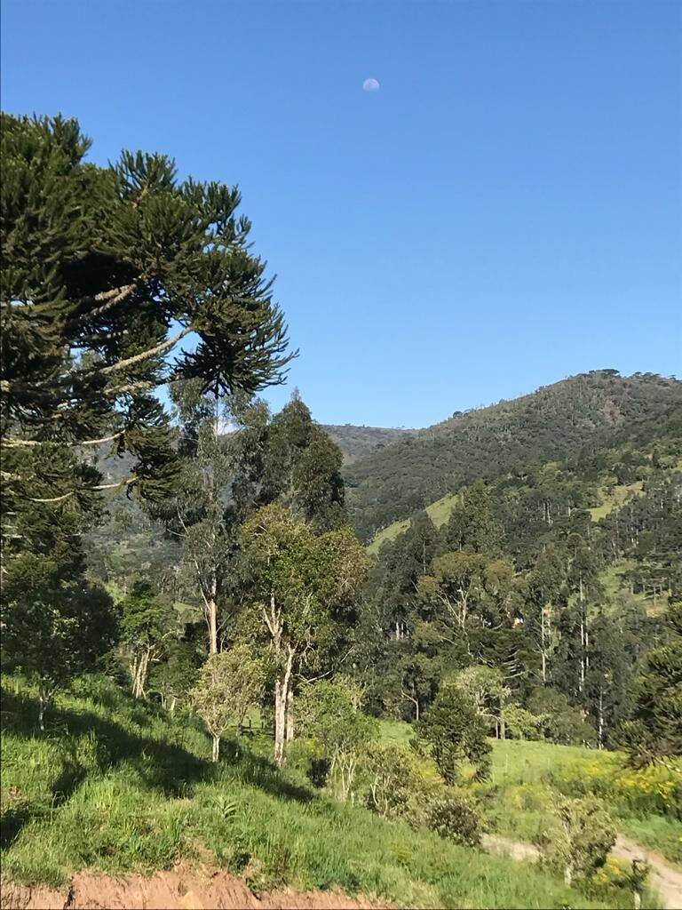 Terreno, 20 hectares - Foto 65