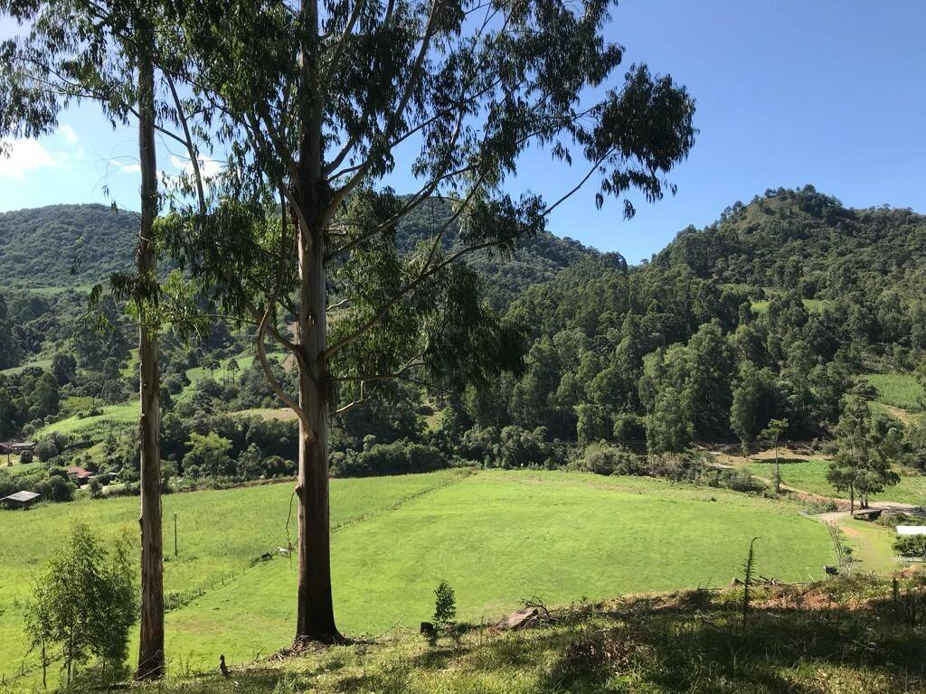 Terreno, 20 hectares - Foto 68