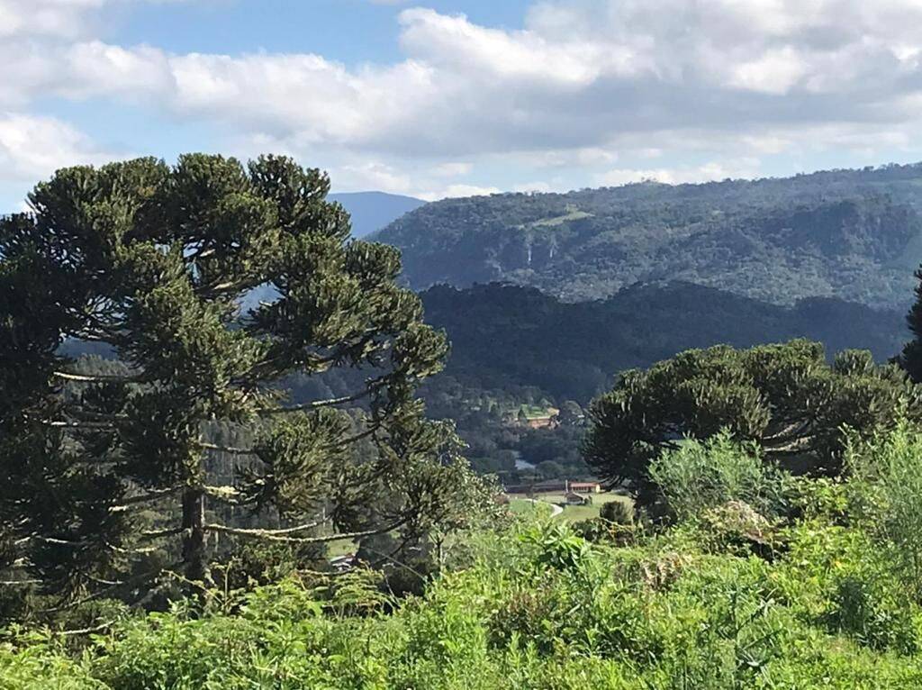 Terreno, 20 hectares - Foto 69