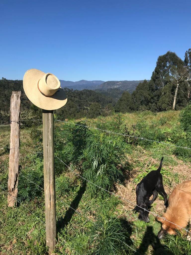 Terreno, 20 hectares - Foto 71