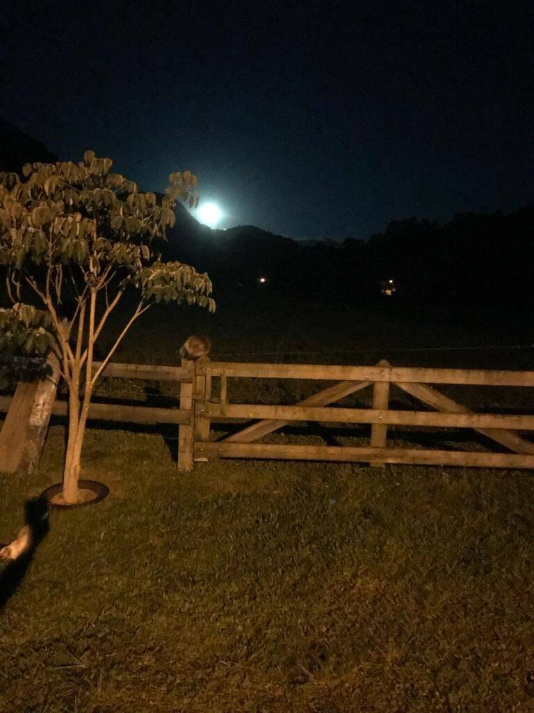 Terreno, 20 hectares - Foto 73