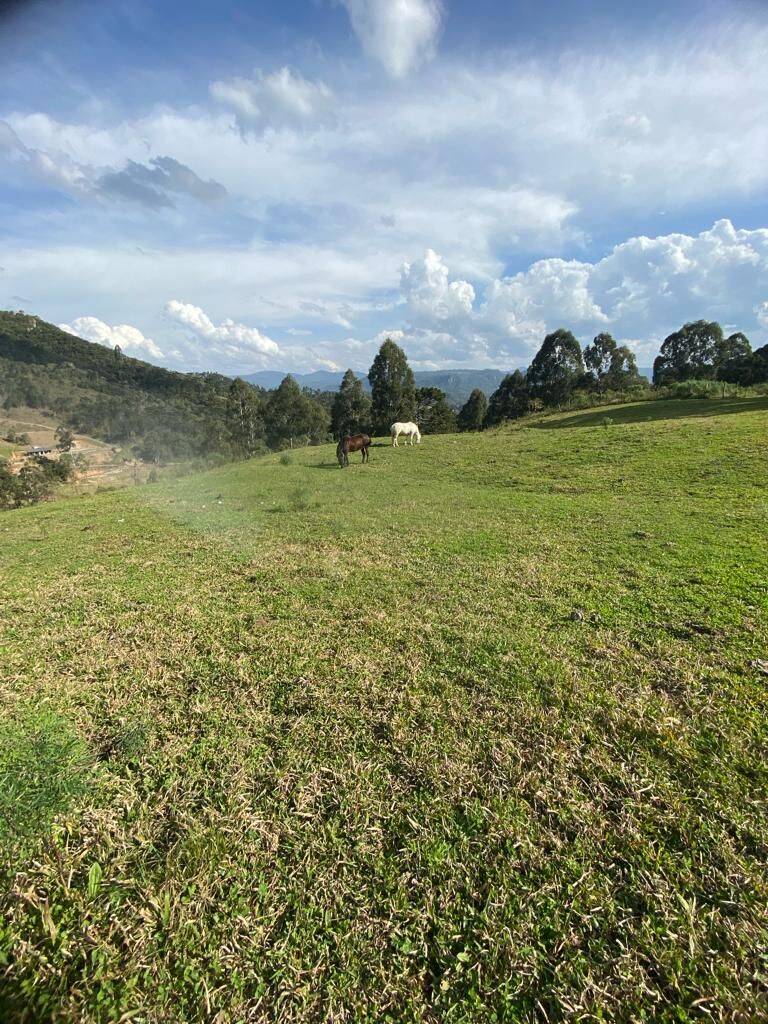 Terreno, 20 hectares - Foto 80