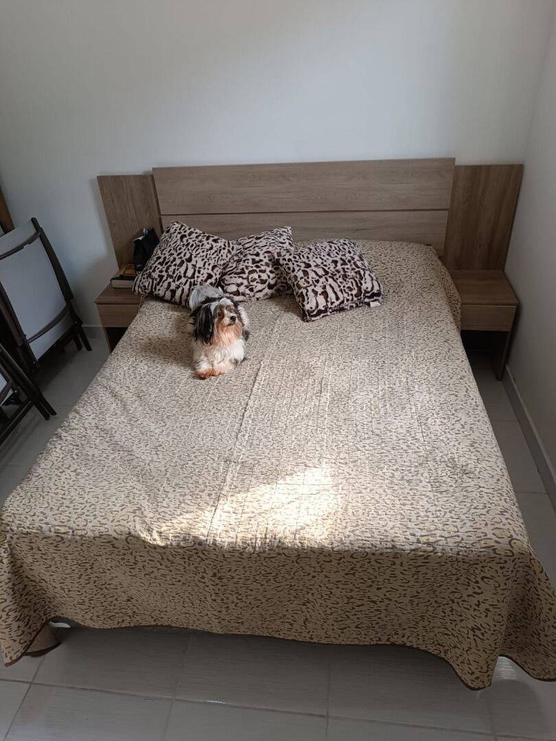 Casa, 2 quartos, 45 m² - Foto 11