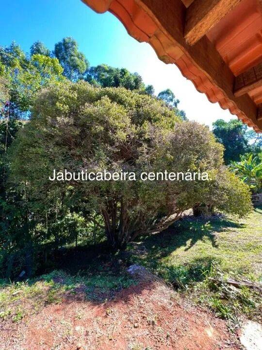 Chácara, 3 quartos, 8000 m² - Foto 80