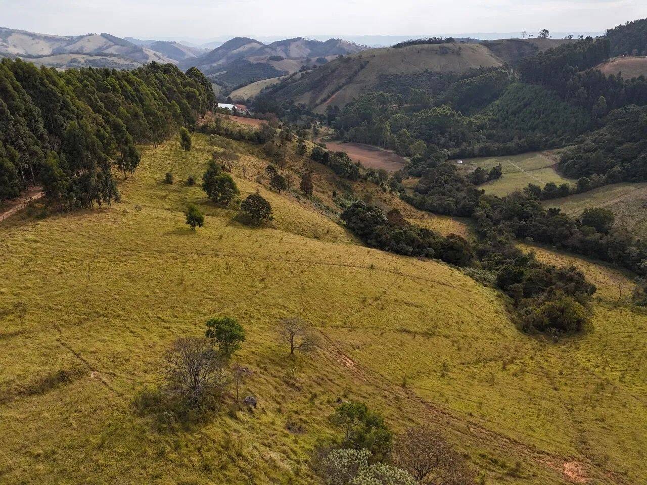 Terreno, 2 hectares - Foto 1