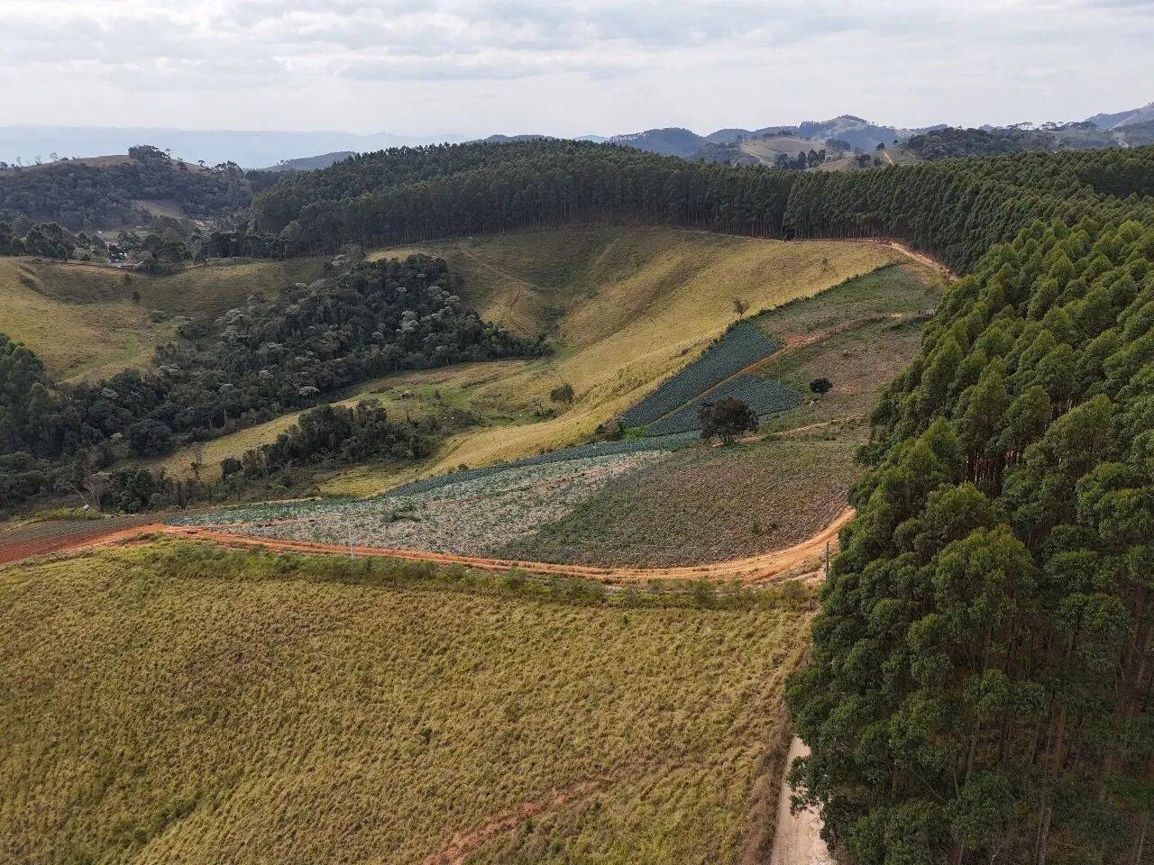 Terreno, 2 hectares - Foto 7