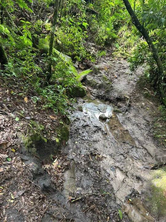 Terreno, 2 hectares - Foto 9