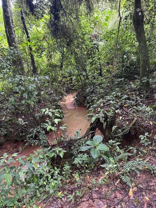 Terreno, 2 hectares - Foto 10