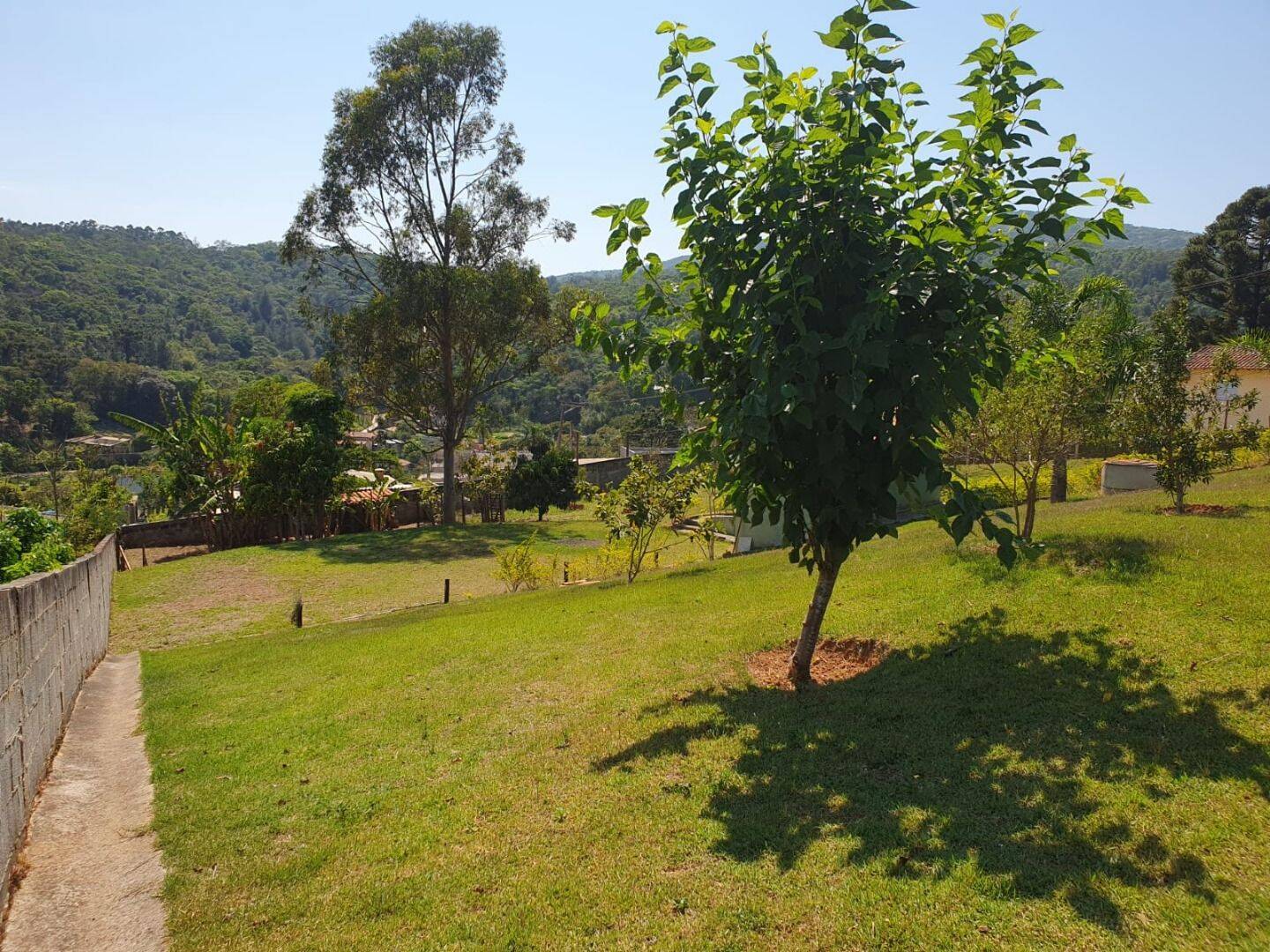 Chácara, 2 quartos, 2200 m² - Foto 5