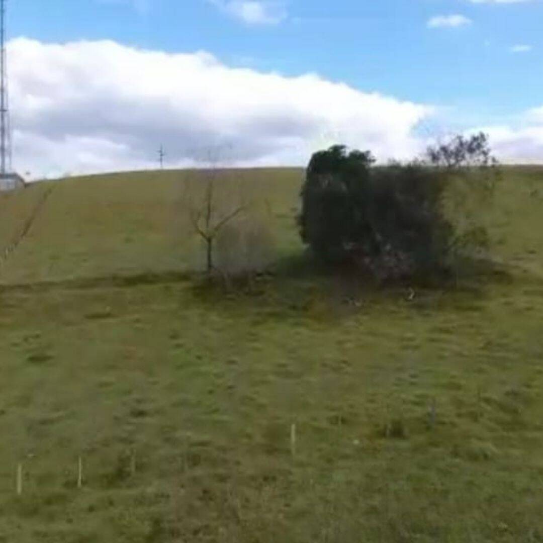 Prédio Inteiro - Foto 3