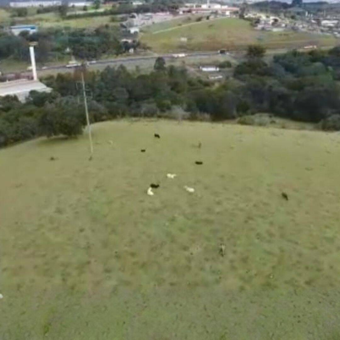 Prédio Inteiro - Foto 4